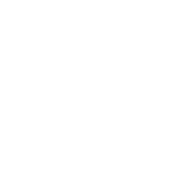 Ícone LinkedIn